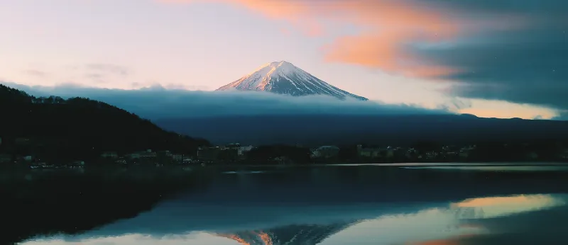 Animated desktop wallpaper