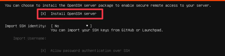Ubuntu server installation screen